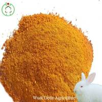 Animal Food Corn Gluten Meal Competitive Price